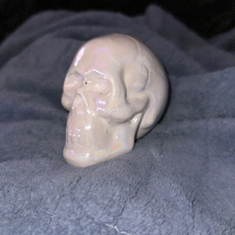 holographic skull shelf decoration